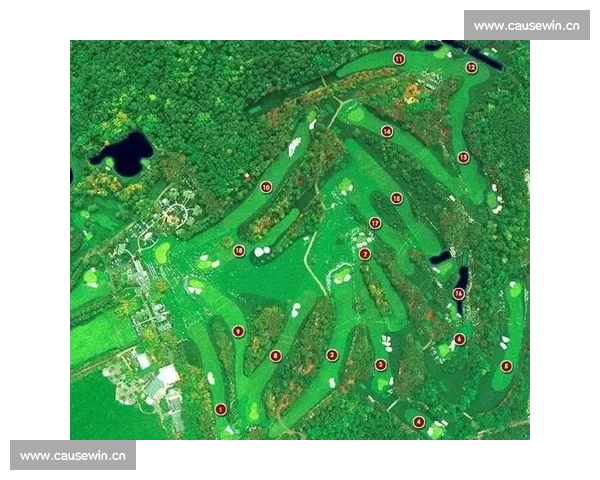 体育比赛手机版全景解析打造掌上赛事新体验平台智能互动数据服务